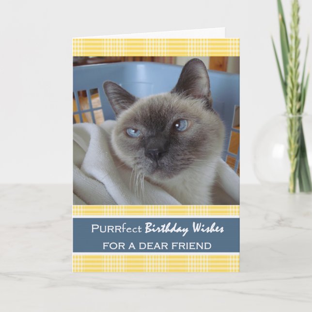 Carte Anniversaire pour Ami, Chat dans Panier de blanchi (Devant)