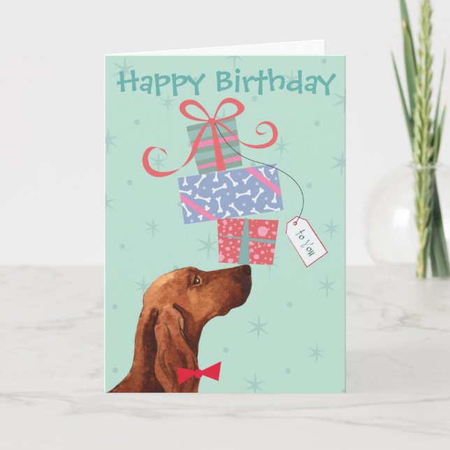 Carte Anniversaire présente un Setter irlandais (Devant)