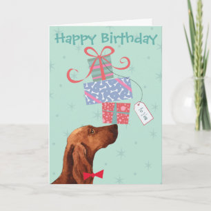 Carte Anniversaire présente un Setter irlandais
