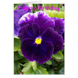 Carte Anniversaire Profonde Purple Pansy