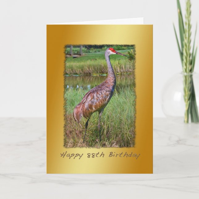 Carte Anniversaire, quatre-vingt-dix-huitième, oiseau de (Devant)