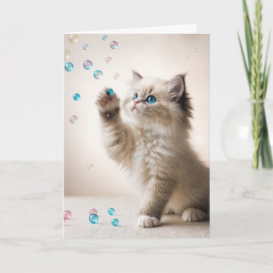 Carte Anniversaire Ragdoll Kitten Jouer Avec Des Bulles
