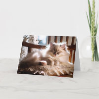 Anniversaire Ragdoll Kitten Sur Coussin