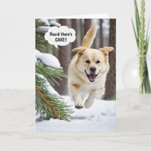 Carte Anniversaire Retriever Courir Dans La Neige