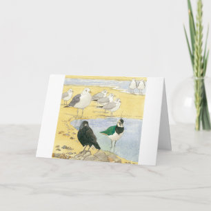 Carte Anniversaire Seabird Jackdaw Lapage Beach Nature C