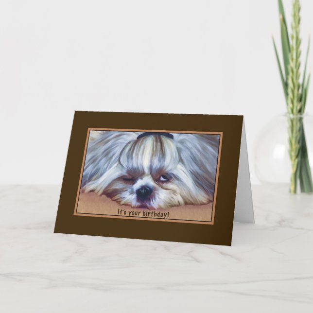 Carte Anniversaire, , Sleepy Shih Tzu Chien (Devant)