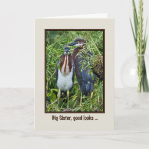 Carte Anniversaire, Soeur, Deux Époux Heron Tricolés