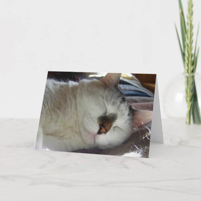 Carte Anniversaire somnolent de minou (Devant)