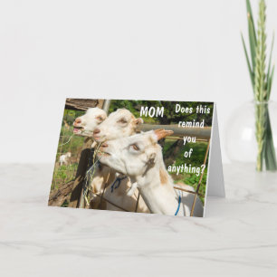 CARTE ANNIVERSAIRE SOUHAITE À MA MÈRE EN VOTRE JOUR ! CA