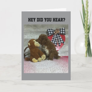 CARTE ANNIVERSAIRE SOUHAITE À QUELQU'UN DE SPÉCIAL!