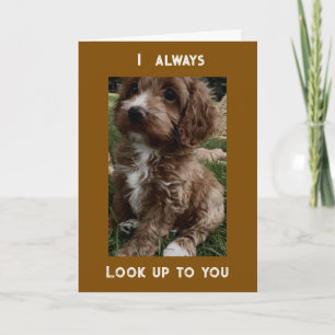 CARTE ANNIVERSAIRE SOUHAITE À QUELQU'UN QUE JE "REGARDE"