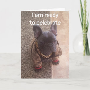 CARTE ANNIVERSAIRE SOUHAITE D'UN CHIEN COOL