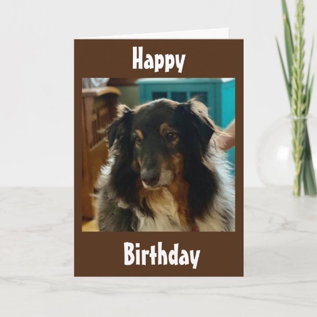 CARTE ANNIVERSAIRE SPÉCIAL SOUHAITE D'UNE PUPPY SPÉCIALE (Devant)