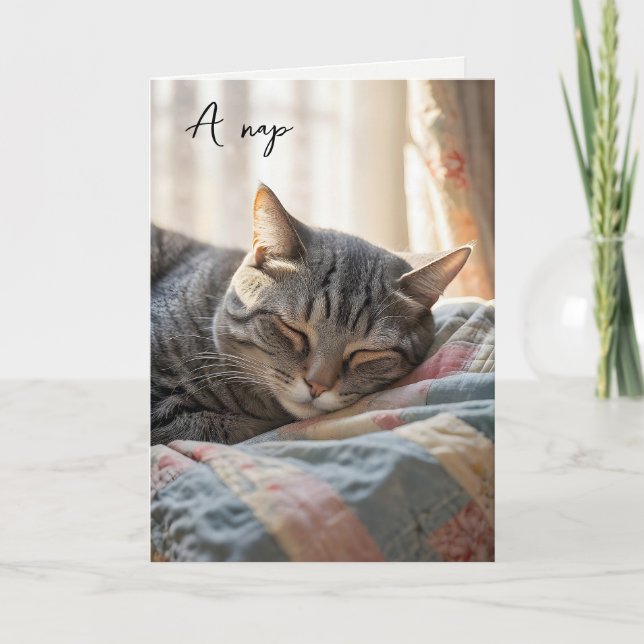 Carte Anniversaire Tabby Cat Nap (Devant)