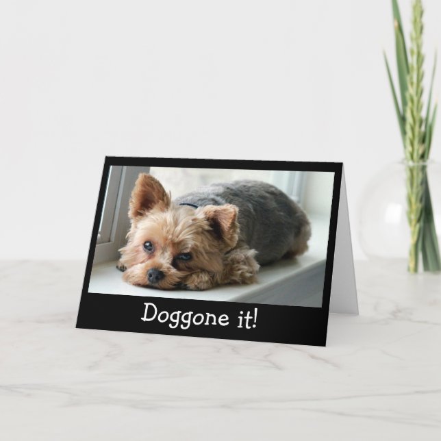 Carte Anniversaire tardif de chiot triste de Yorkie (Devant)