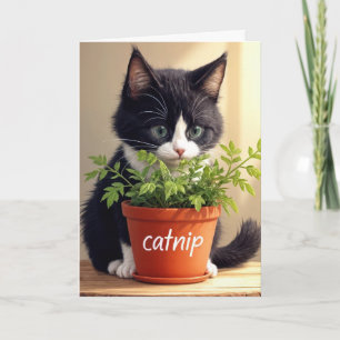 Carte Anniversaire Tuxedo Kitten Avec Plante Catnip