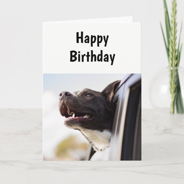 Carte Anniversaire Un jour Comme Aucun Autre Humour Cart (Devant)