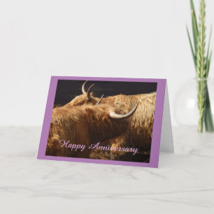 Carte Anniversaire Vaches Highland