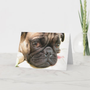 Carte Anniversaire Vieux âge pas heureux, Humour avec ch