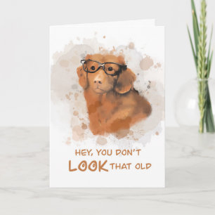Carte Anniversaire vieux chien avec lunettes dans Messy