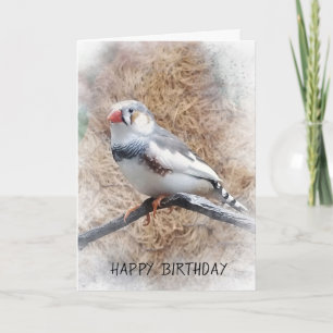 Carte anniversaire-zebra finch sur branche