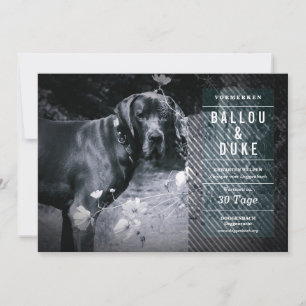 Carte Annonce de chiots