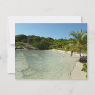 Carte Antiguan Beach Beautiful Tropical Landscape