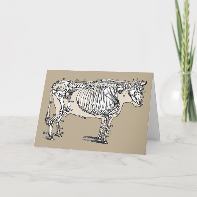 Carte Antique Cow Skeleton Bones (Devant)