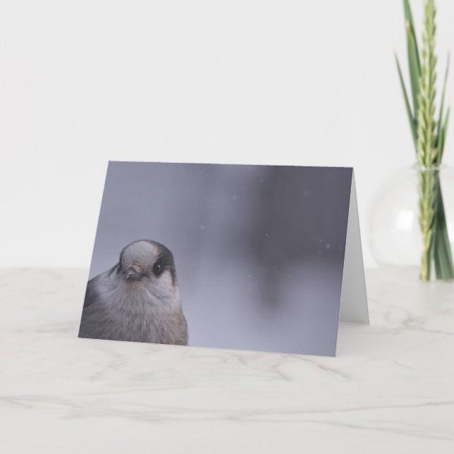 Carte aperçu (Devant)