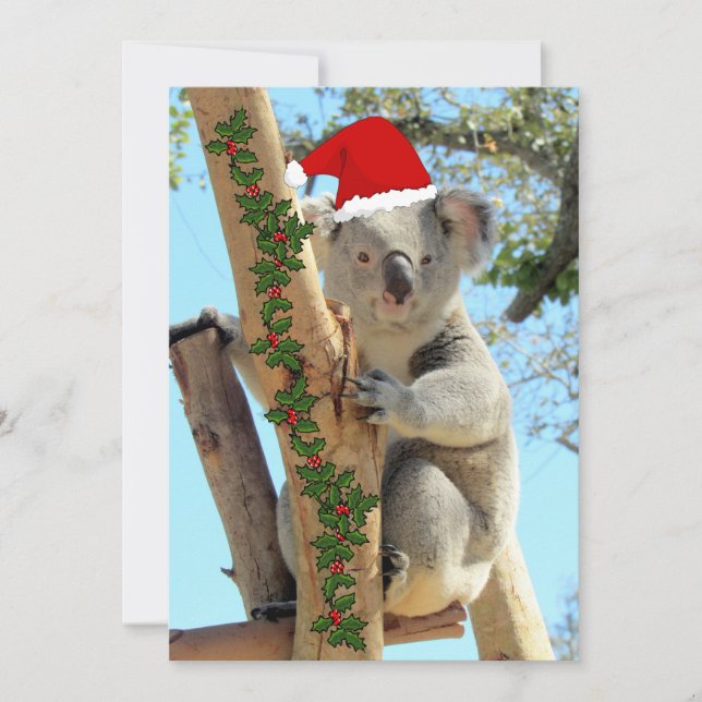 Carte Appartement de Noël Koala (Devant)