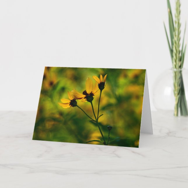 Carte Approche automne (Devant)