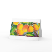 APRICOT CHEER SERIE STATIONNAIRE
