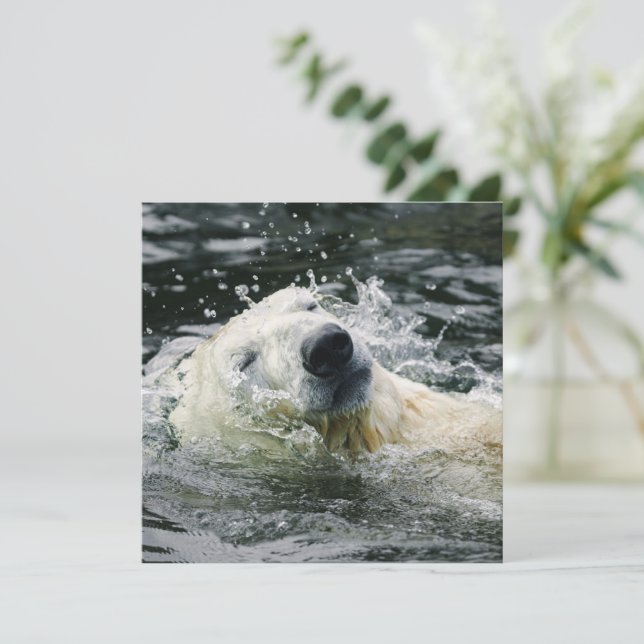 Carte Aqua Aura de l'ours polaire (Debout devant)