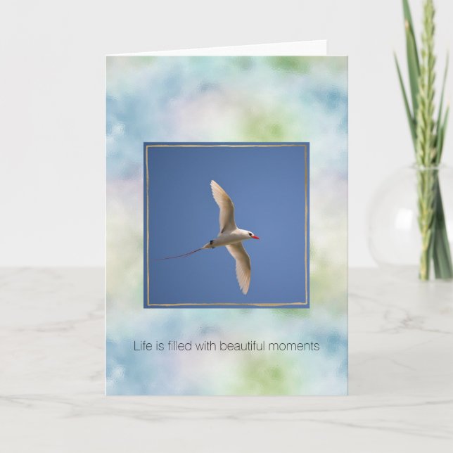 Carte Aqua Blue Green Hawaii Ocean Bird (Devant)