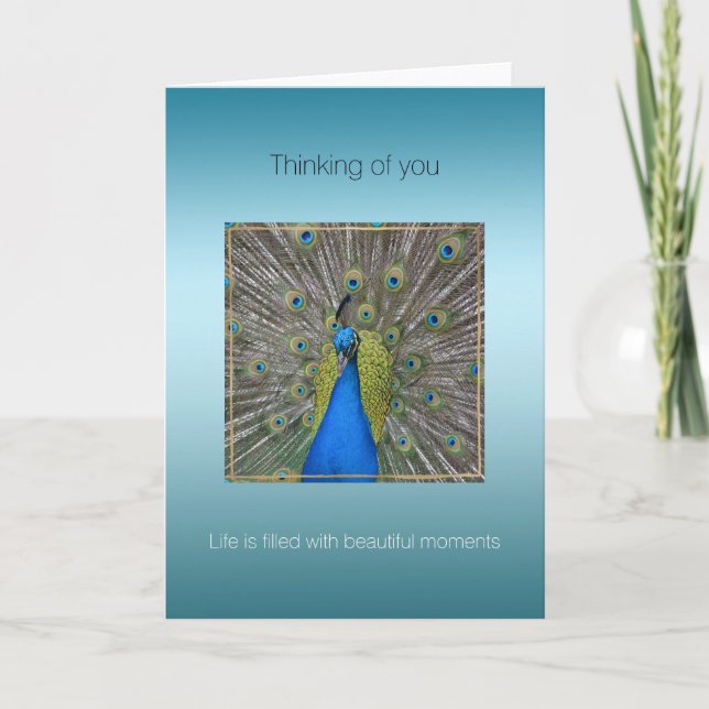 Carte Aqua Paon Beaux Moments (Devant)