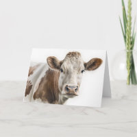 Aquarelle Anniversaire Hereford Cow