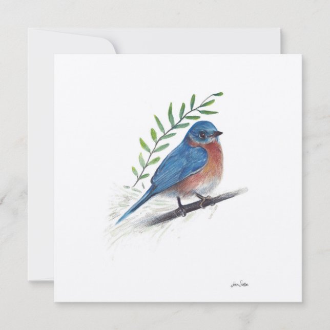 Carte Aquarelle Bluebird (Devant)