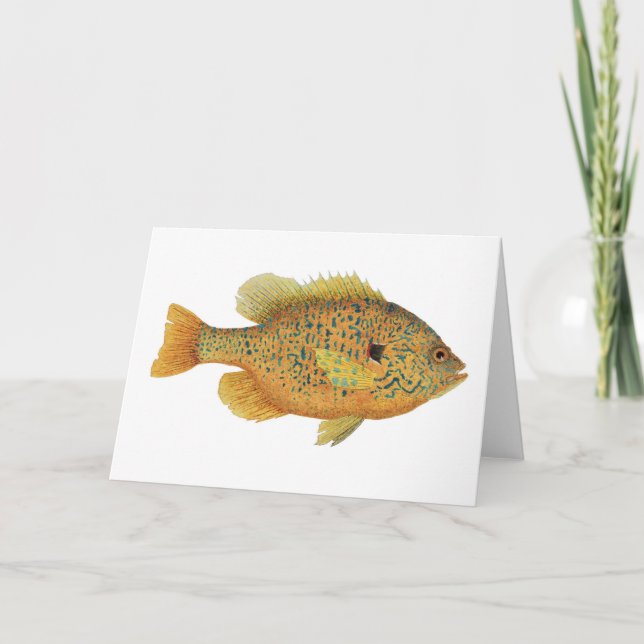 Carte Aquarelle de poisson rouge (Devant)