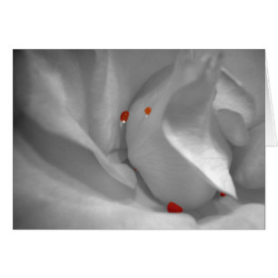 Carte Aquarelle Éolienne