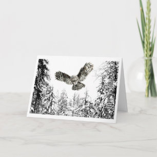 Carte Aquarelle originale Frappe ou Chasse Chouette Oise