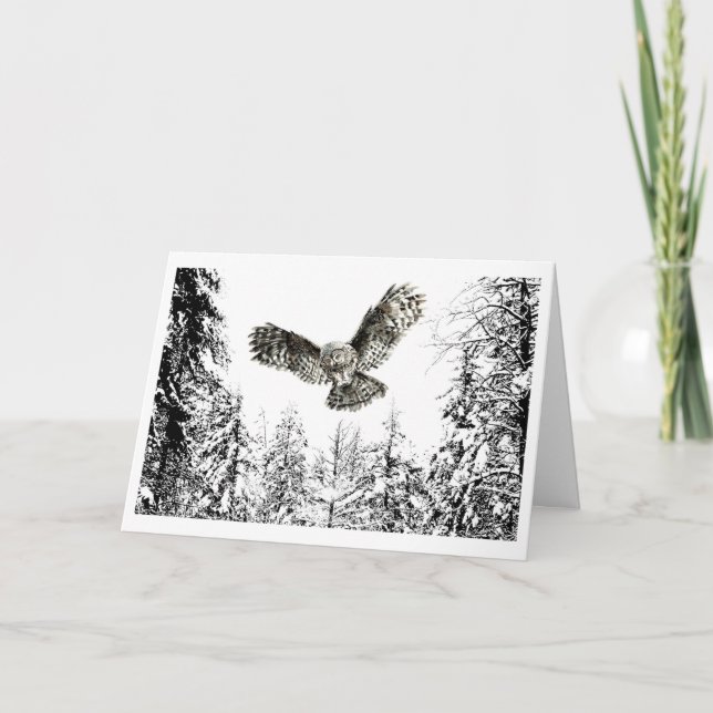Carte Aquarelle originale Frappe ou Chasse Chouette Oise (Devant)