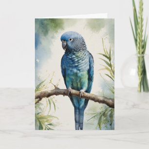 Carte Aquarelle Parakee bleu Eucalyptus Tree