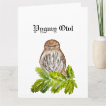 Aquarelle Saw Whet Cute Little Owls