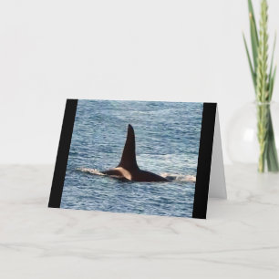 Carte Aquarius Orca Baleine Tueuse de la Côte Ouest Pers