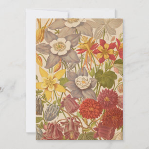 Carte Aquilegia   George Nicholson