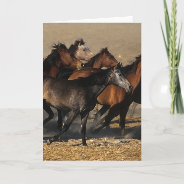 Carte Arabes courant dans le désert (Devant)