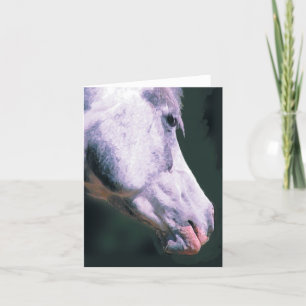 Carte Arabian Head 'Beautiful Boy'