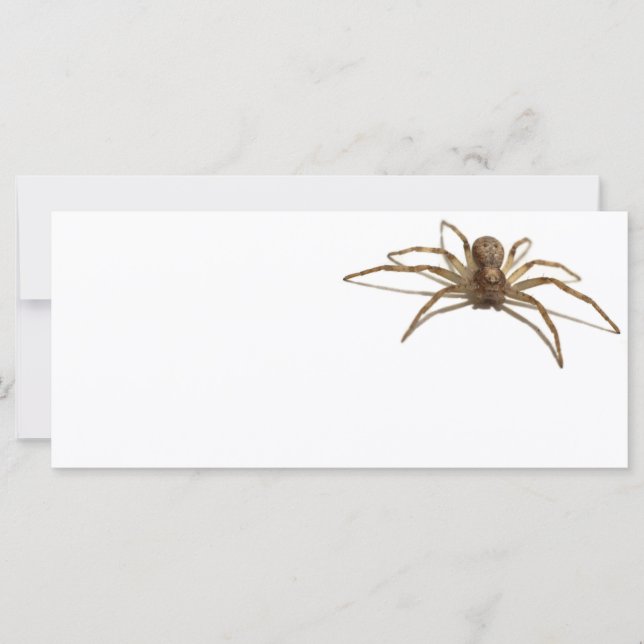 Carte Araignée (Devant)