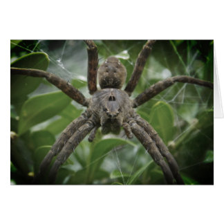 Carte Araignée d'Halloween