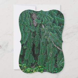 Carte Arbre à feuillage persistant Avec. Cône de pin